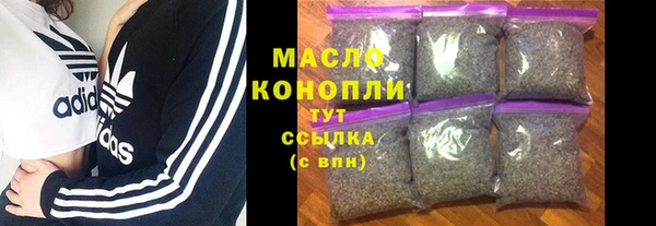 индика Беломорск