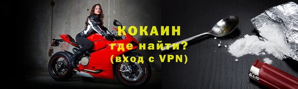 индика Беломорск