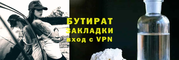 индика Беломорск