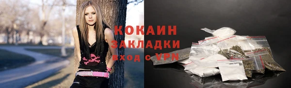 индика Беломорск