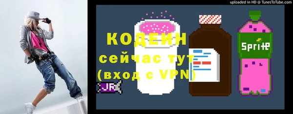 индика Беломорск