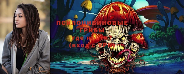 скорость Белокуриха