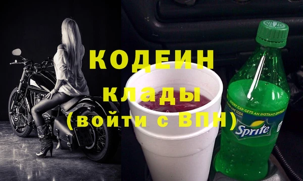 индика Беломорск