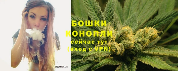 индика Беломорск