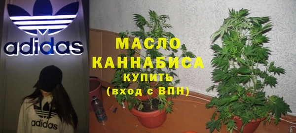 индика Беломорск