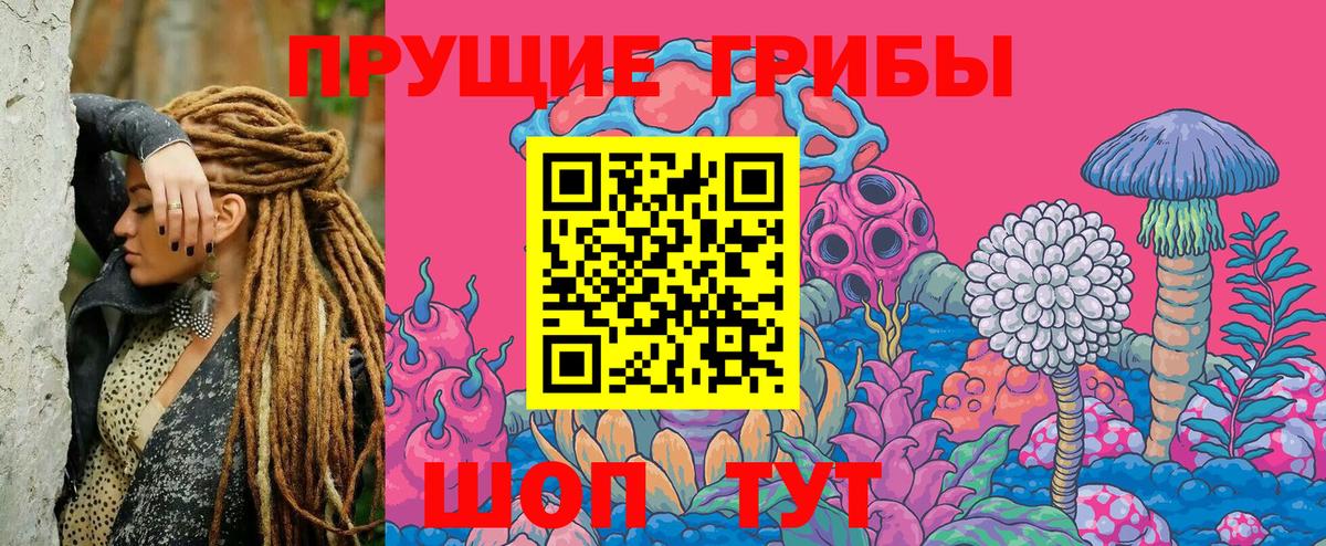 Псилоцибиновые грибы мухоморы Богданович